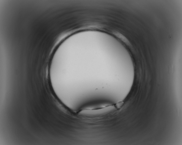 X0000086051420200704131946