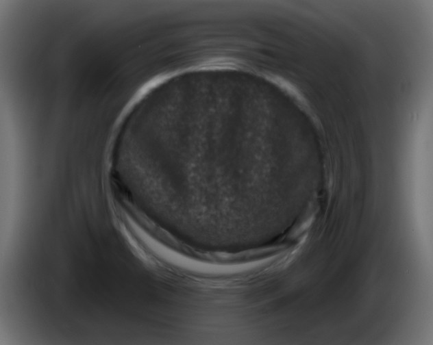 X0000086051422200704131946