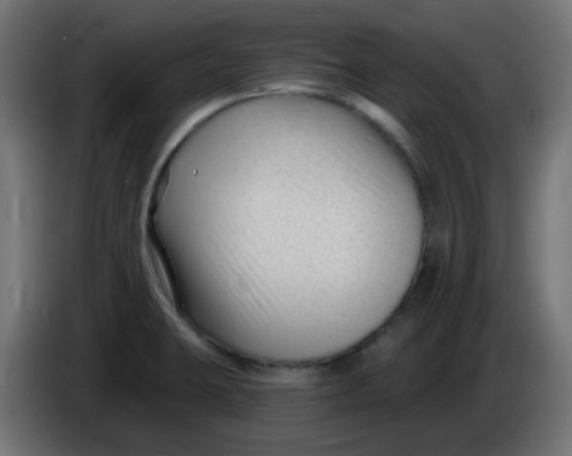 X0000086051423200704131946