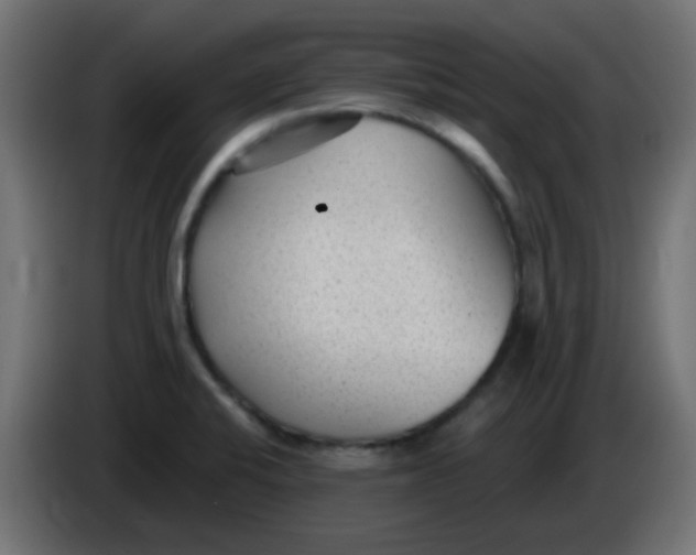 X0000086051424200704131946