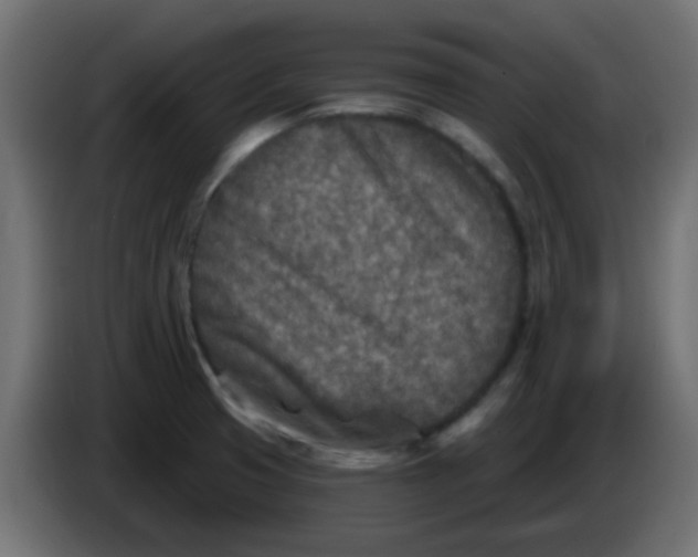 X0000086051425200704131946