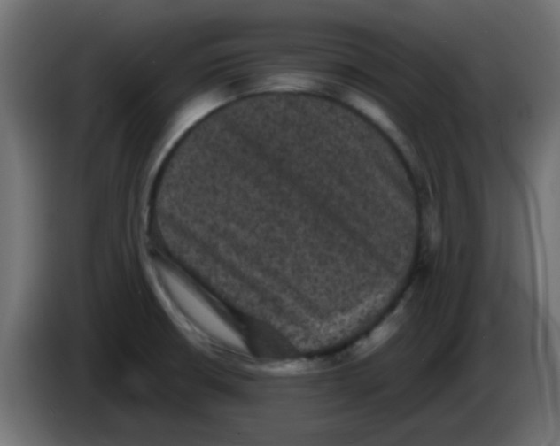 X0000086051426200704131946