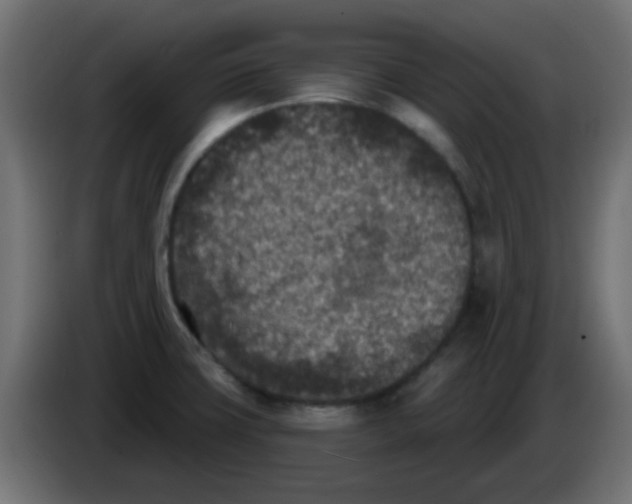 X0000086051427200704131946