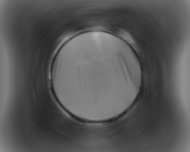 X0000086051428200704131946