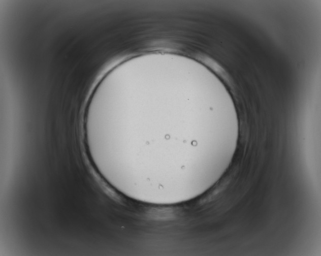 X0000086051431200704131947