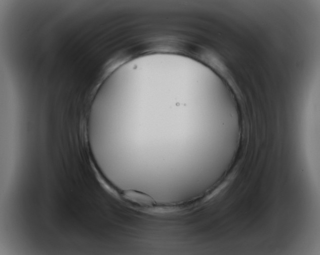 X0000086051433200704131947