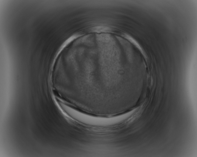 X0000086051434200704131947