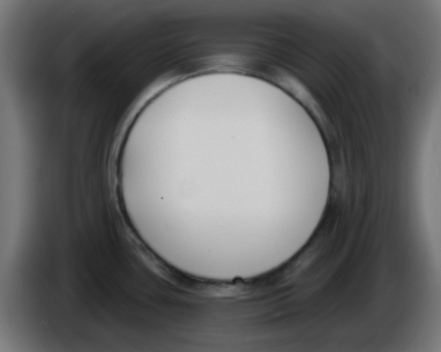 X0000086051435200704131947