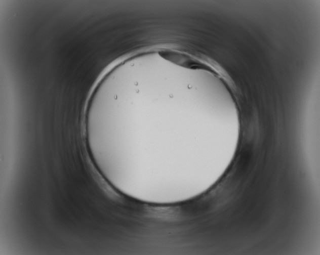 X0000086051436200704131947
