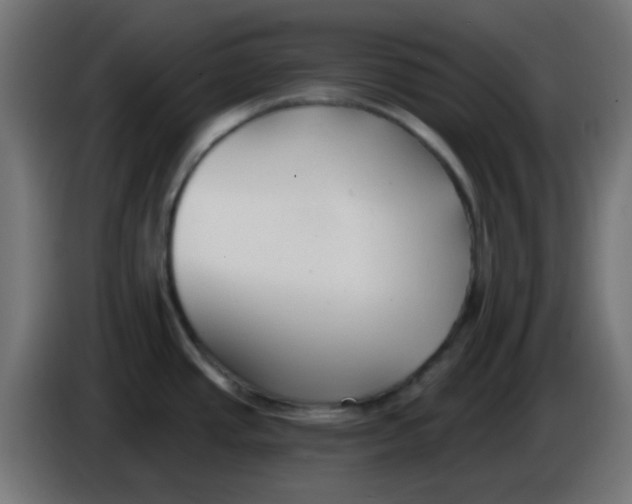 X0000086051437200704131947