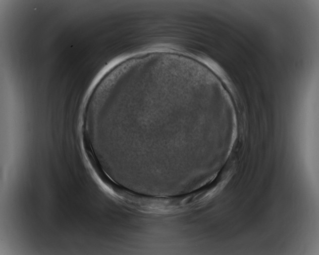 X0000086051438200704131947