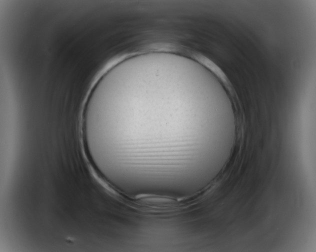 X0000086051439200704131947