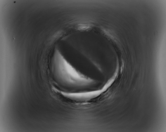 X0000086051441200704131946