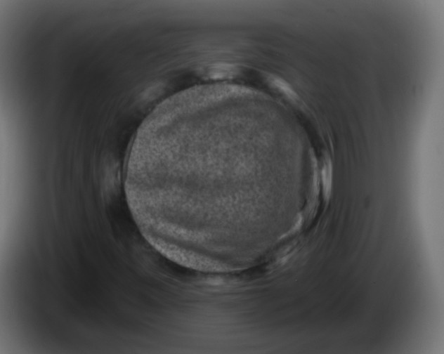 X0000086051443200704131946