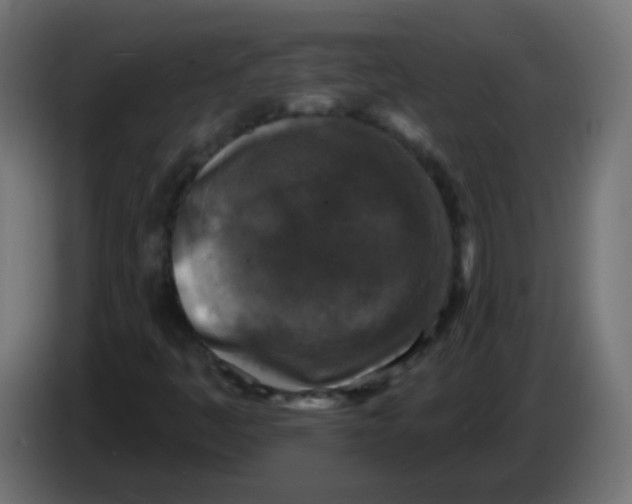 X0000086051445200704131946