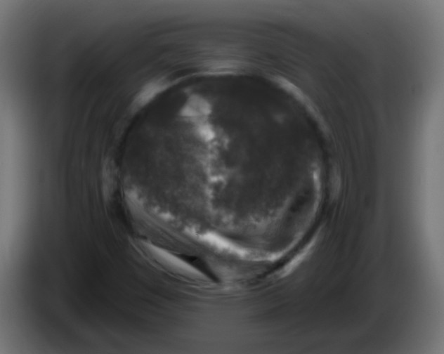 X0000086051449200704131946