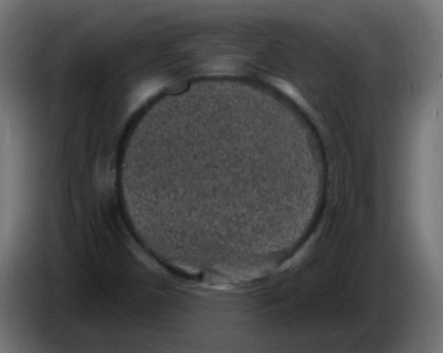 X0000086051450200704131946