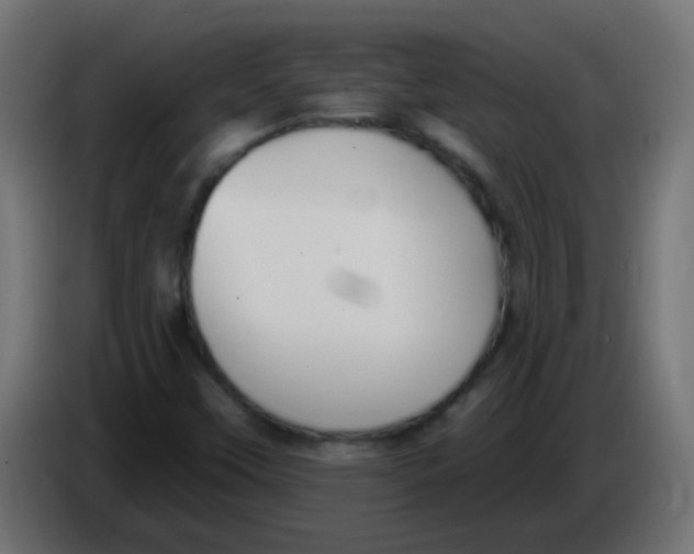 X0000086051451200704131946