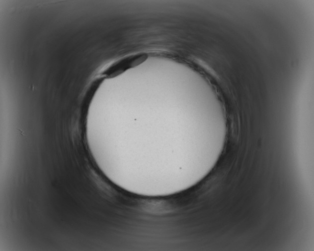 X0000086051452200704131946