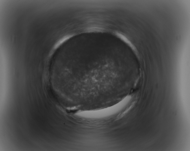 X0000086051453200704131946
