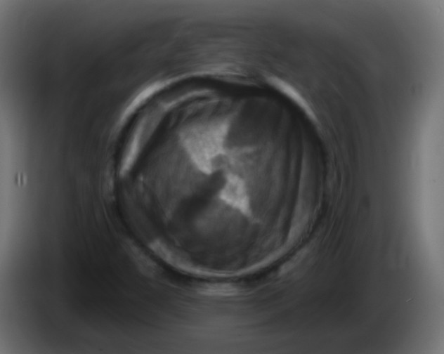 X0000086051455200704131946