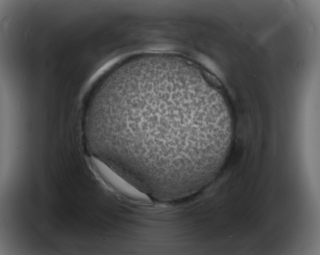 X0000086051456200704131946