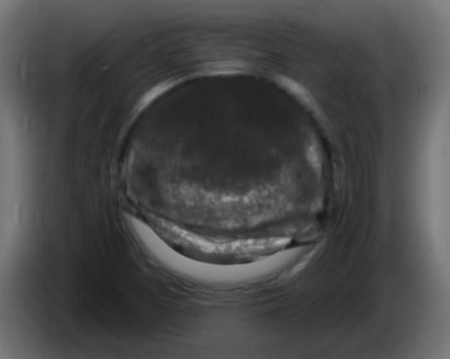 X0000086051457200704131946
