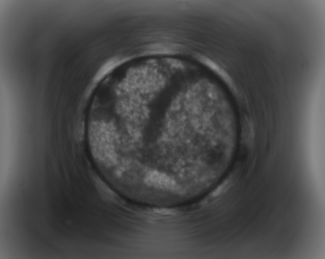 X0000086051459200704131946