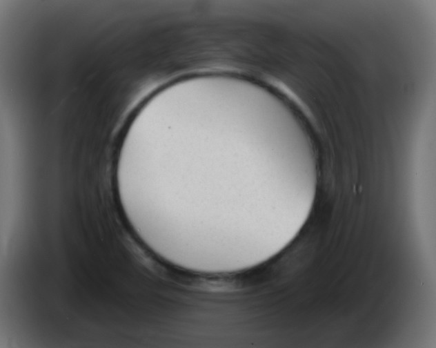 X0000086051460200704131946