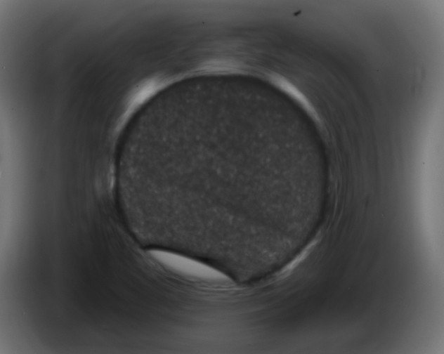 X0000086051461200704131946