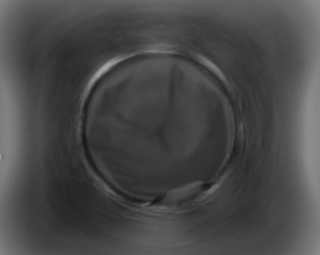 X0000086051463200704131946