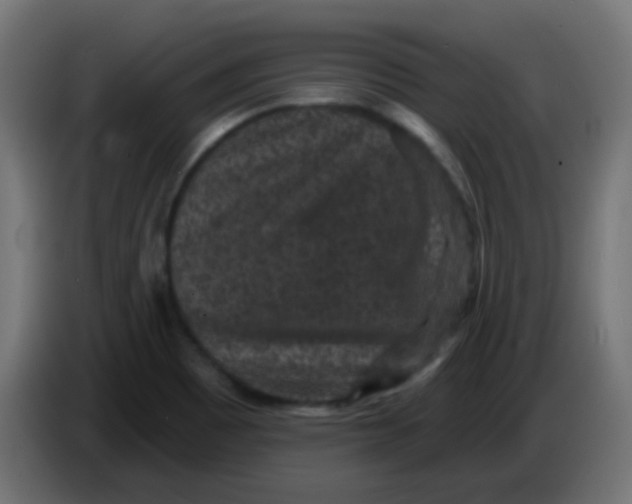 X0000086051465200704131946