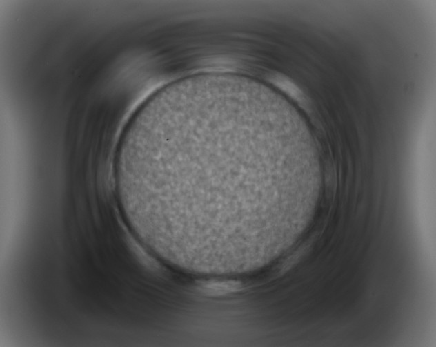 X0000086051466200704131946