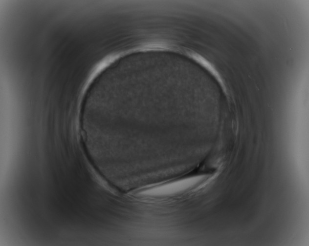 X0000086051469200704131946