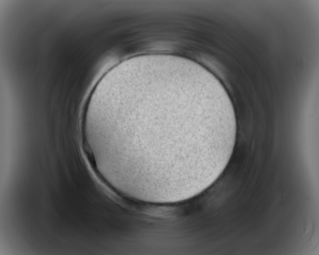 X0000086051475200704131945