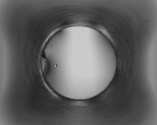 X0000086051476200704131945