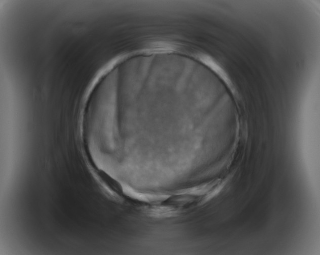 X0000086051477200704131945