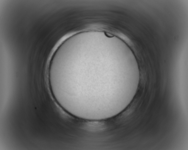 X0000086051478200704131945