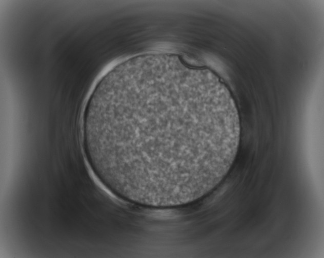 X0000086051479200704131945