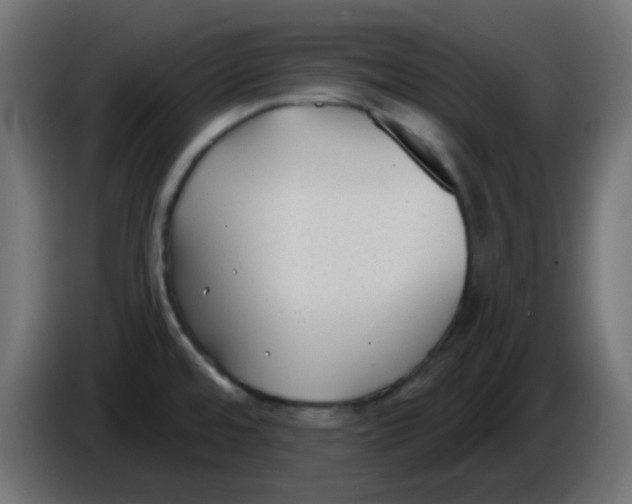 X0000086051480200704131945