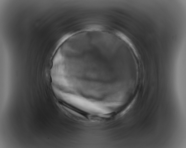 X0000086051481200704131945