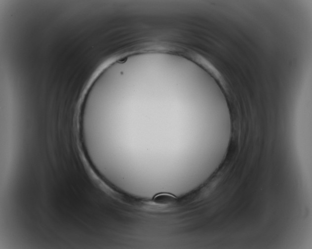 X0000086051483200704131945