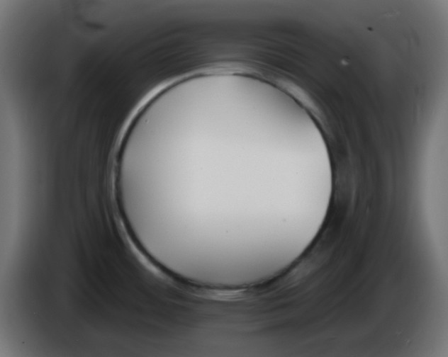 X0000086051484200704131945