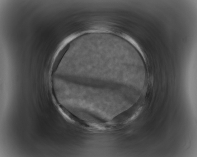 X0000086051485200704131945