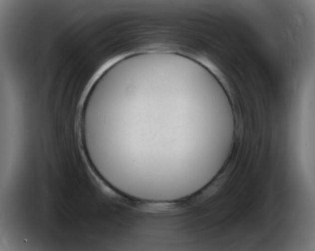 X0000086051486200704131945