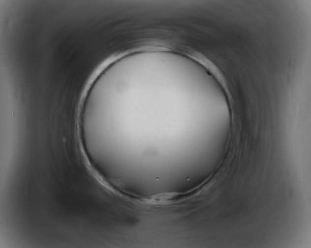 X0000086051488200704131945