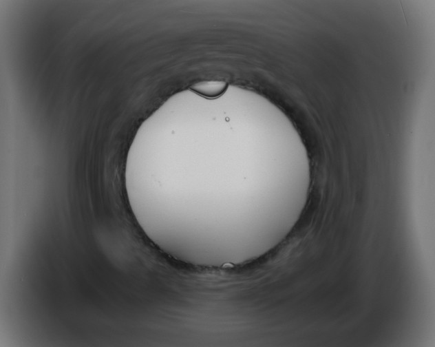 X0000086051489200704131945