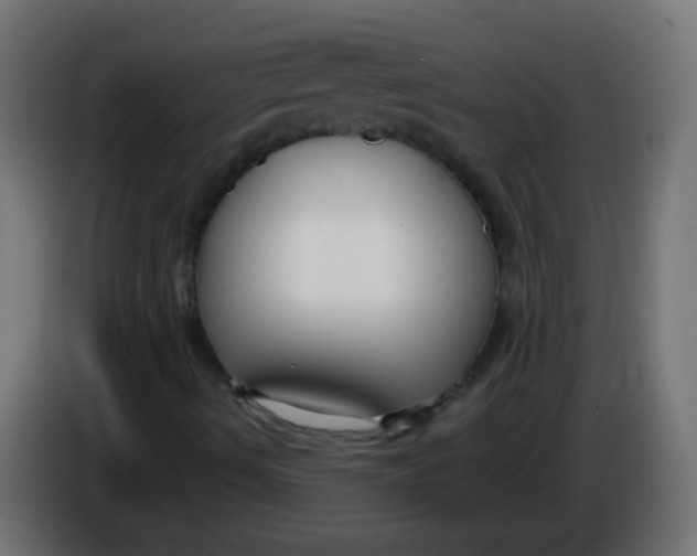 X0000086051490200704131945