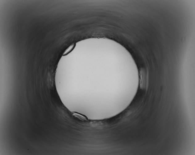 X0000086051491200704131945