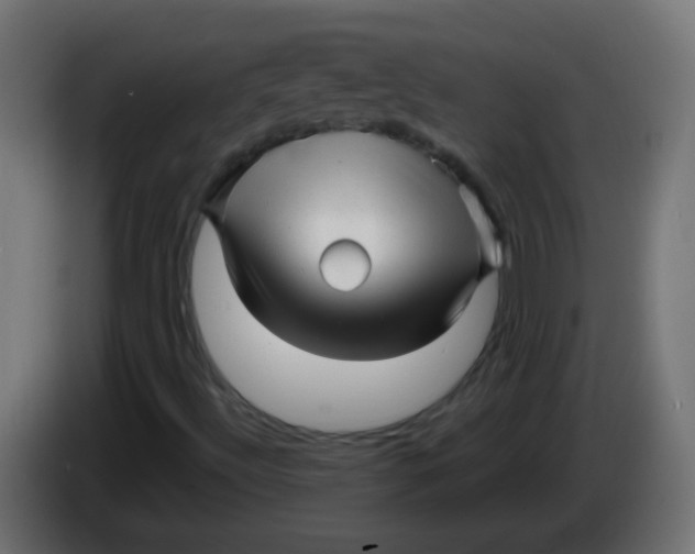 X0000086051492200704131945